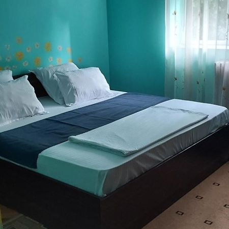 Apartament Gara Mica Lejlighed Arad Eksteriør billede