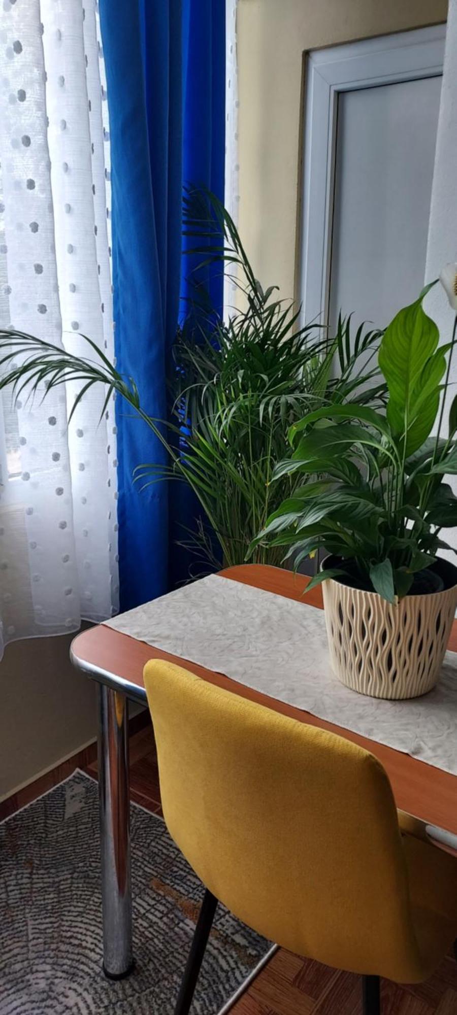 Apartament Gara Mica Lejlighed Arad Eksteriør billede